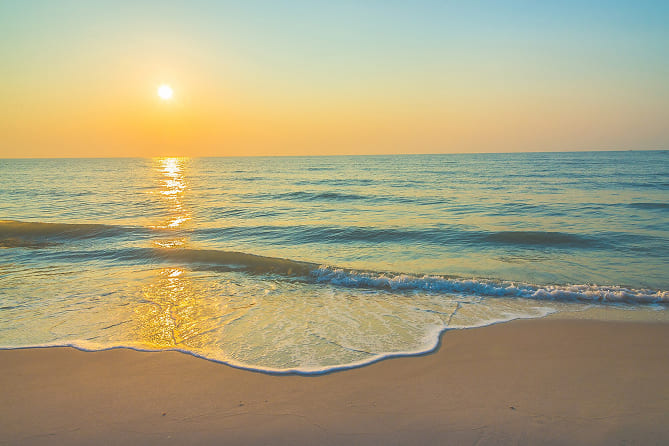 BEACH PARADISE DEALS: