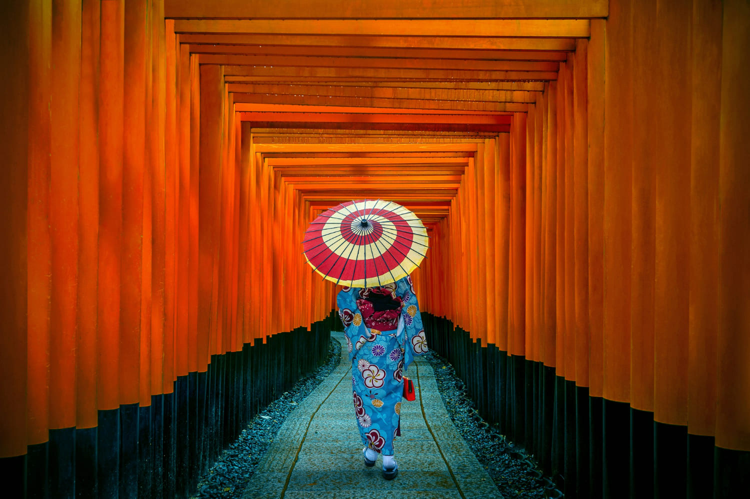 Cultural Journey in Japan